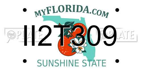 II2T309 Florida License Plate