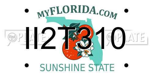 II2T310 Florida License Plate