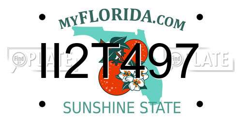 II2T497 Florida License Plate