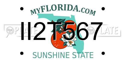 II2T567 Florida License Plate