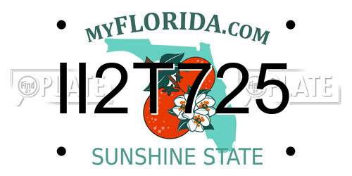 II2T725 Florida License Plate