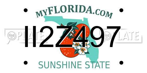 II2Z497 Florida License Plate