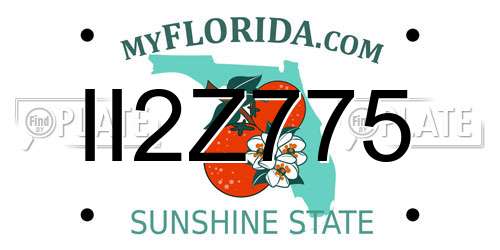 II2Z775 Florida License Plate