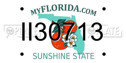 II30713 Florida License Plate