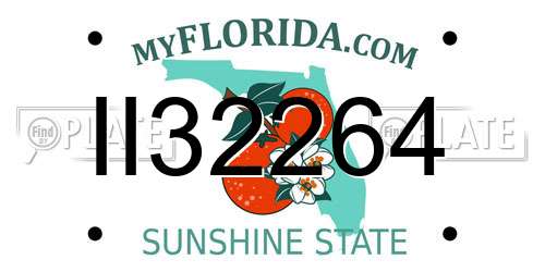 II32264 Florida License Plate