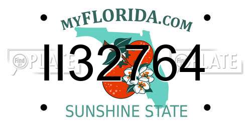 II32764 Florida License Plate