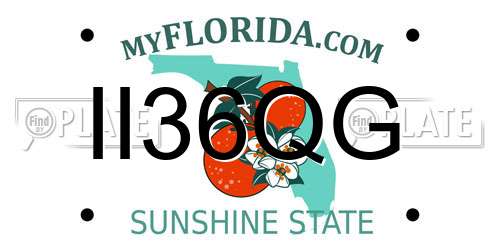 II36QG Florida License Plate