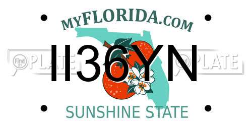 II36YN Florida License Plate