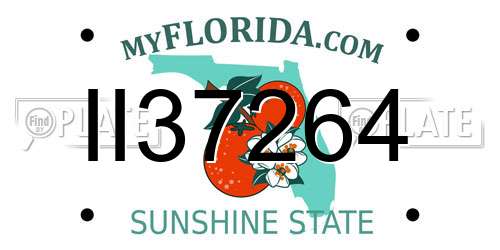 II37264 Florida License Plate
