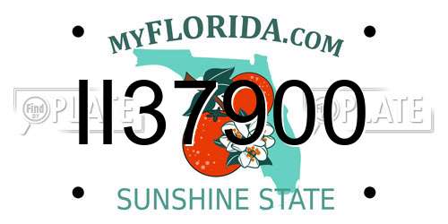 II37900 Florida License Plate