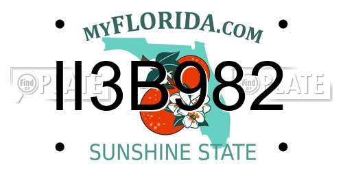 II3B982 Florida License Plate