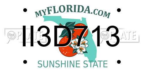 II3D713 Florida License Plate