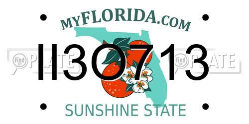 II3O713 Florida License Plate