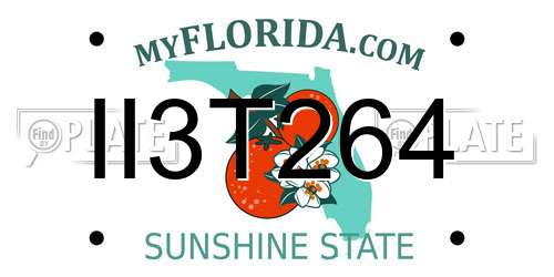 II3T264 Florida License Plate