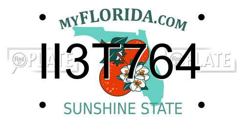 II3T764 Florida License Plate