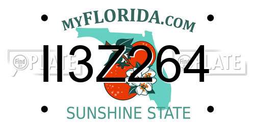 II3Z264 Florida License Plate