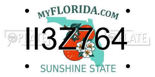 II3Z764 Florida License Plate