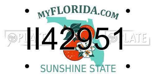 II42951 Florida License Plate