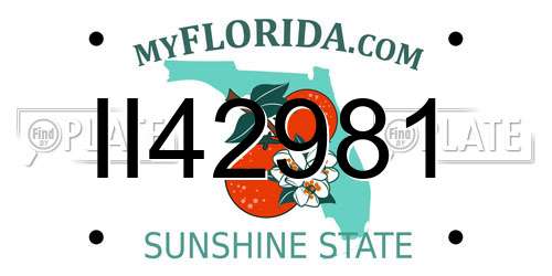 II42981 Florida License Plate