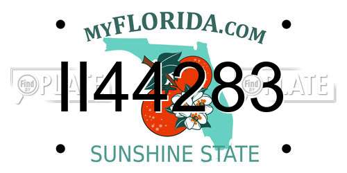 II44283 Florida License Plate