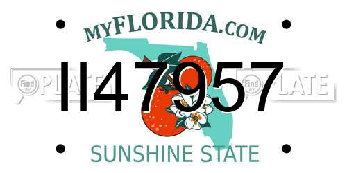 II47957 Florida License Plate