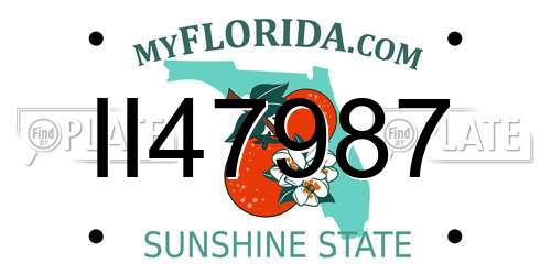 II47987 Florida License Plate