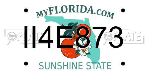 II4E873 Florida License Plate