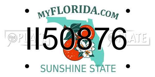 II50876 Florida License Plate