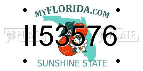 II53576 Florida License Plate