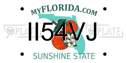II54VJ Florida License Plate