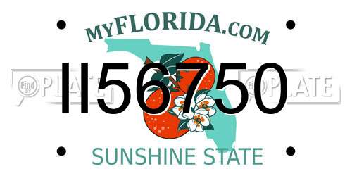 II56750 Florida License Plate