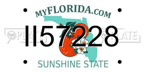 II57228 Florida License Plate