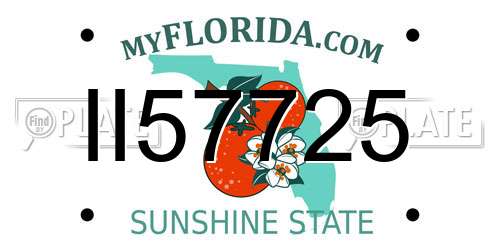 II57725 Florida License Plate