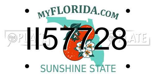 II57728 Florida License Plate