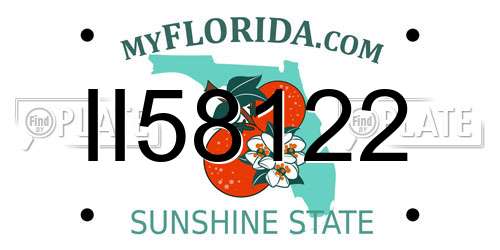 II58122 Florida License Plate