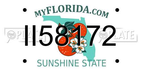 II58172 Florida License Plate