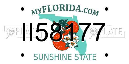 II58177 Florida License Plate