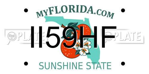 II59HF Florida License Plate