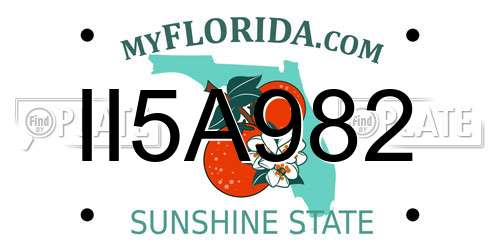 II5A982 Florida License Plate