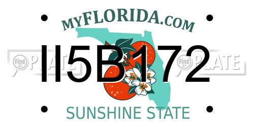 II5B172 Florida License Plate