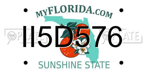 II5D576 Florida License Plate