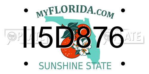 II5D876 Florida License Plate