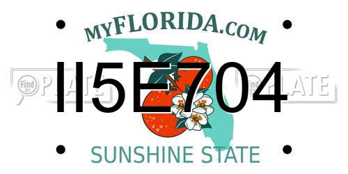 II5E704 Florida License Plate