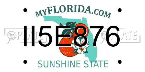 II5E876 Florida License Plate