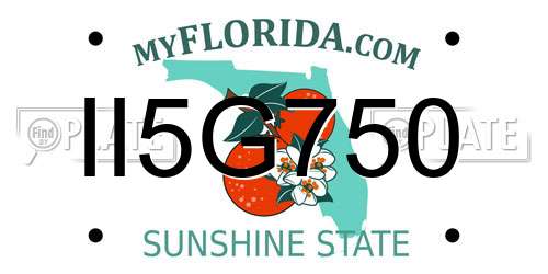 II5G750 Florida License Plate