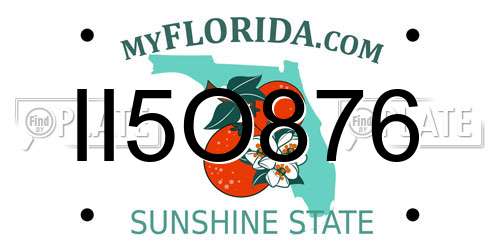 II5O876 Florida License Plate