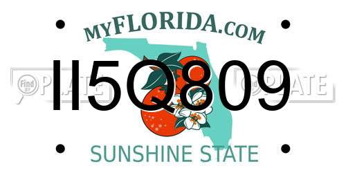 II5Q809 Florida License Plate