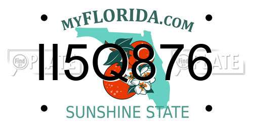 II5Q876 Florida License Plate