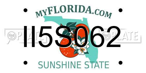 II5S062 Florida License Plate
