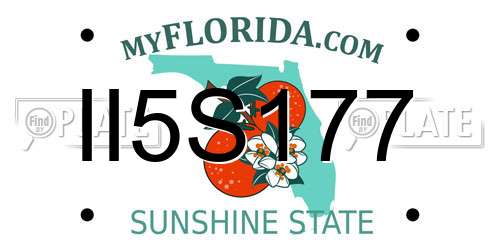 II5S177 Florida License Plate